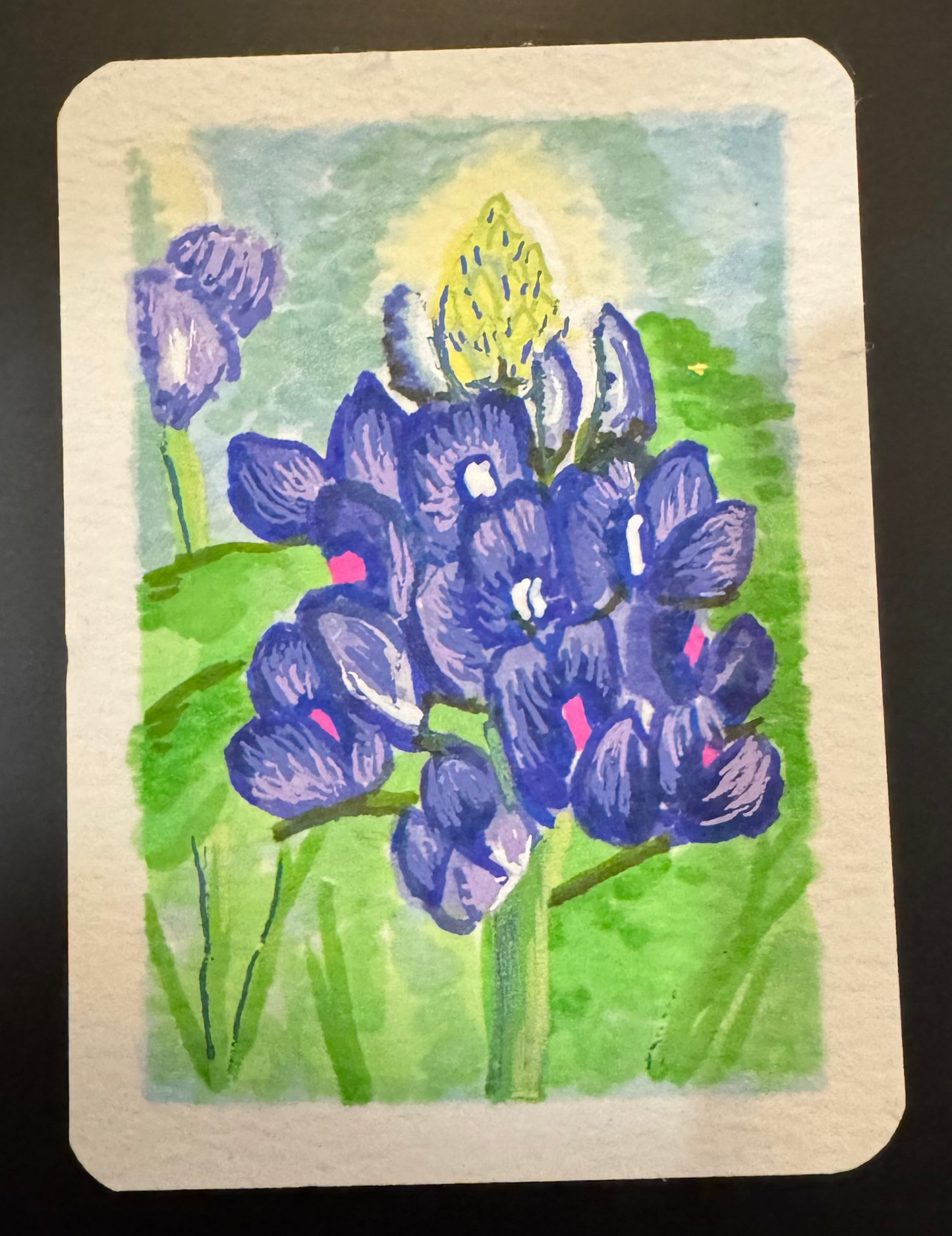 ACEO Texas Bluebonnet, Original Alcohol Markers on Cardstock, 2.5 x 3.5 inches by Ellesensei